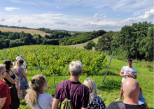 Załaduj obraz do przeglądarki galerii, Voucher na zwiedzanie winnicy z degustacją win, serów i wędlin - dla 4 osób